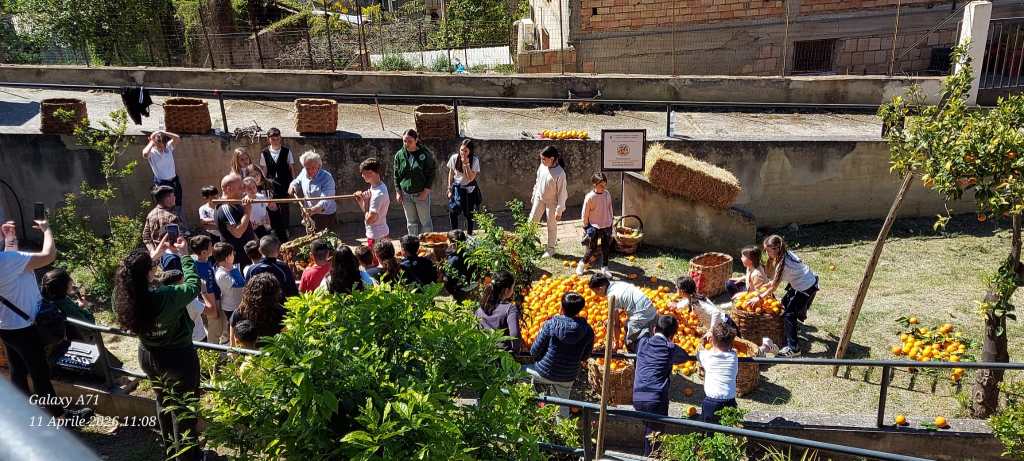 ^ Sagra ru purtuallu villa san giuseppe ()